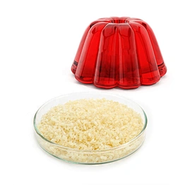 High quality halal kosher food grade gelatin with best price